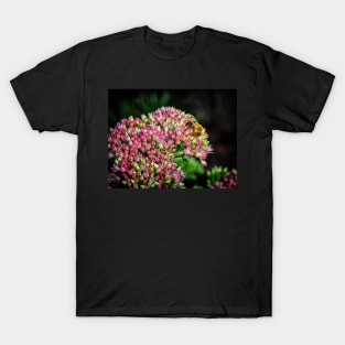 Bee On Sedum Flower T-Shirt